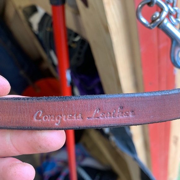 In hand show halter - Picture 5 of 5